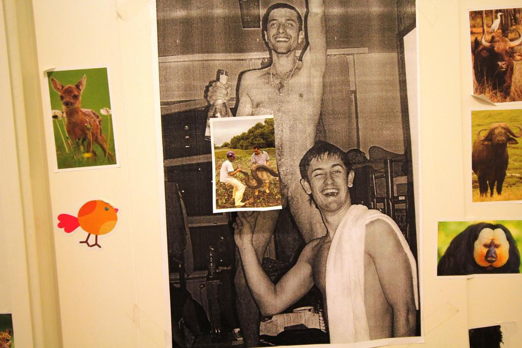 Dbc Hostel Budapesta Cameră foto